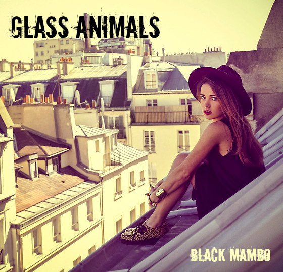 Image result for glass animals black mambo