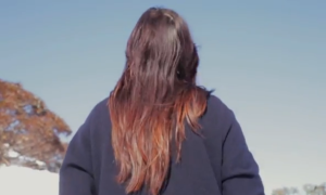 lisa mitchell chromemusic